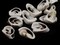 12 23mm to 30mm Spiral Sliced Natural Shell Pendant Beads
